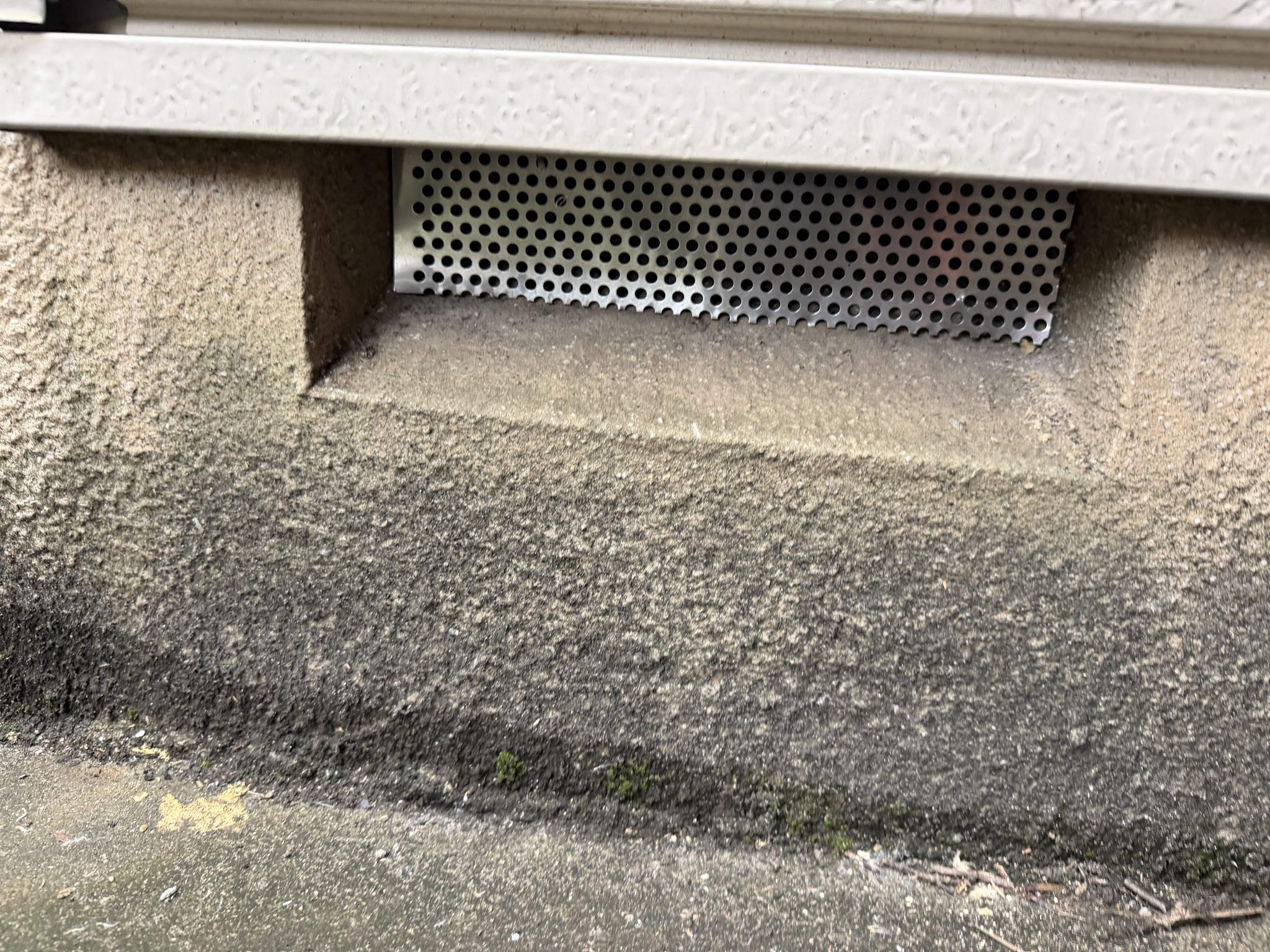 大阪府東大阪市害獣駆除現場の写真8