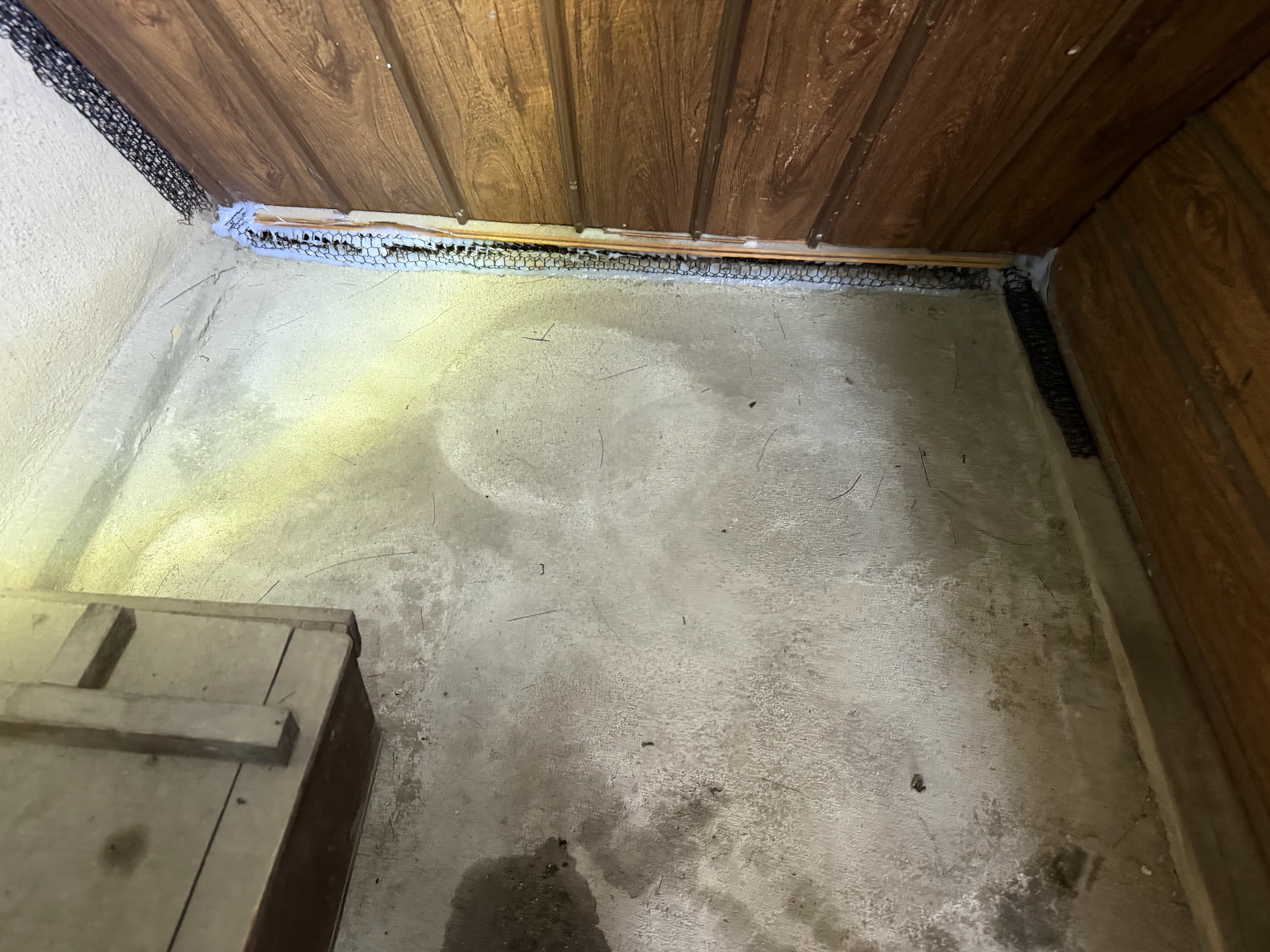 大阪府東大阪市害獣駆除現場の写真17