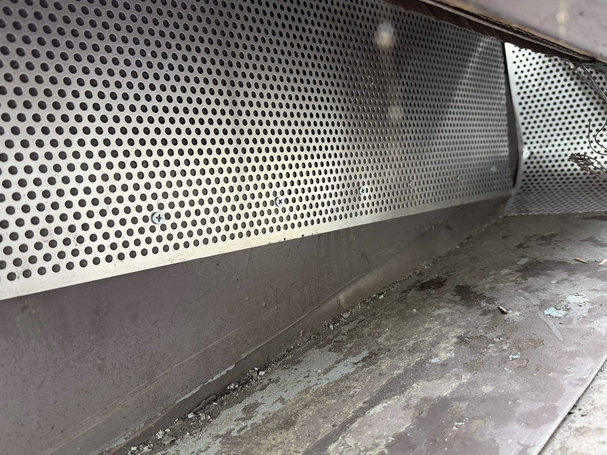 大阪府東大阪市害獣駆除現場の写真19