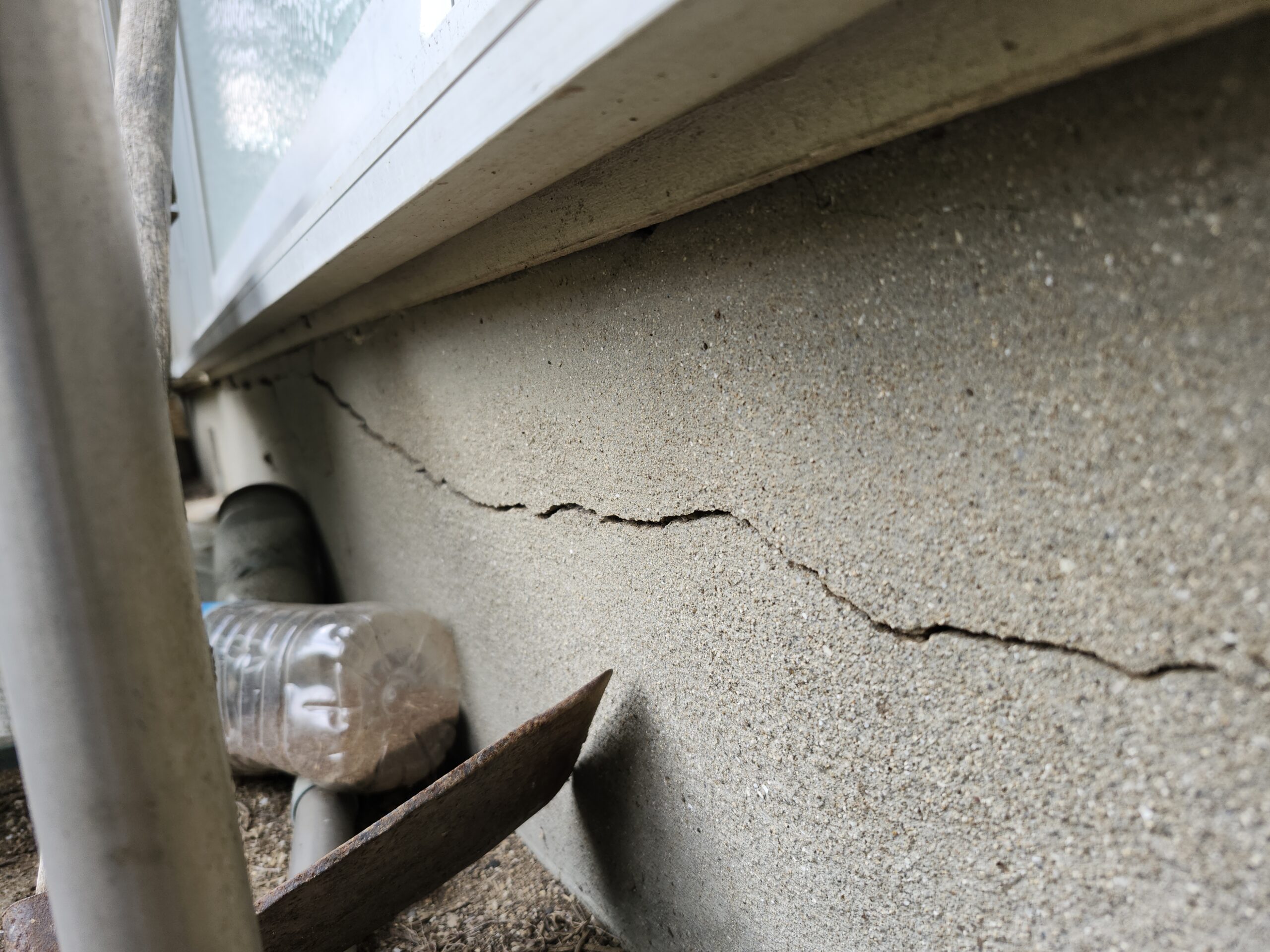 兵庫県神戸市害獣駆除現場の写真20