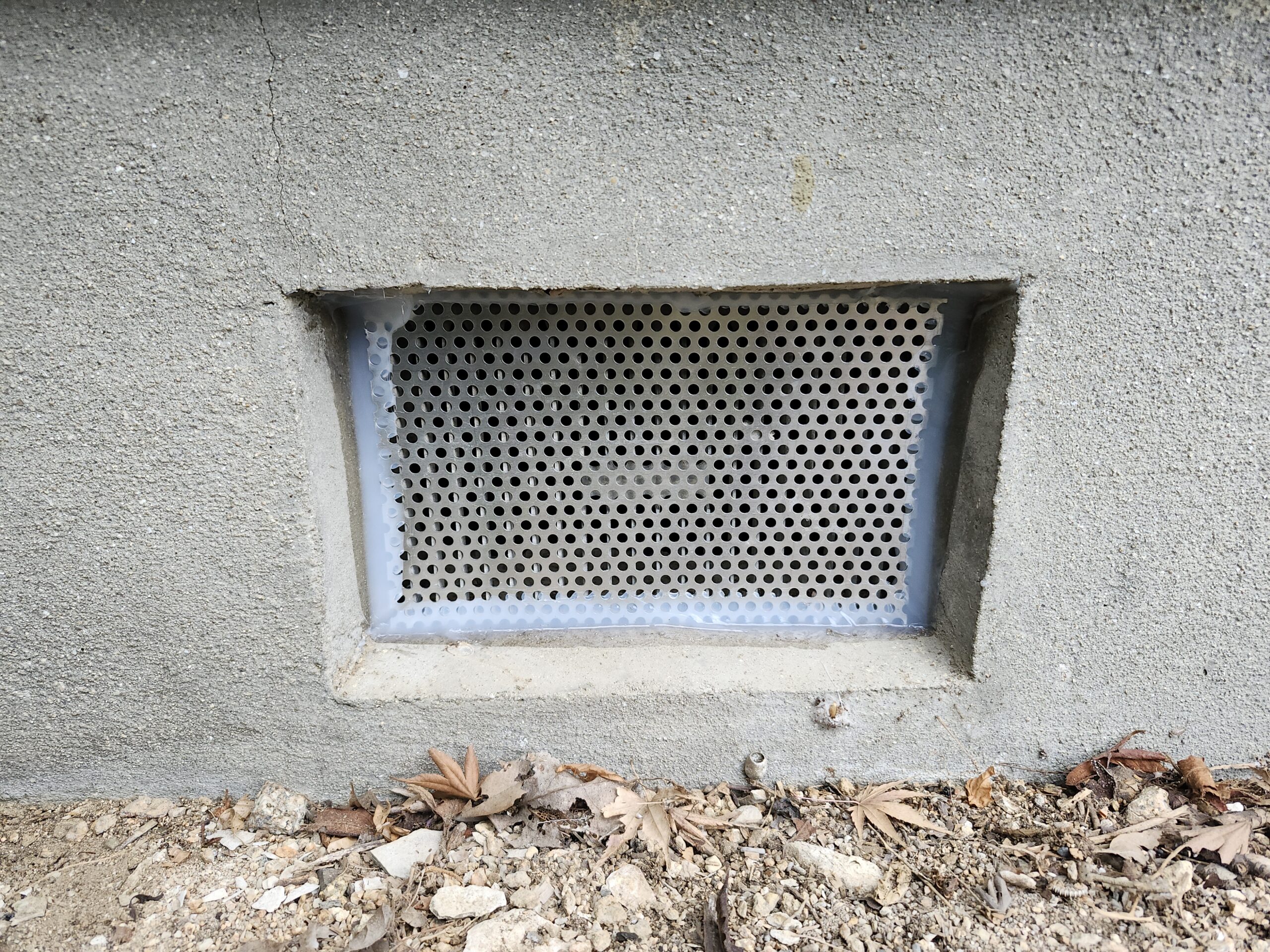 兵庫県神戸市害獣駆除現場の写真19