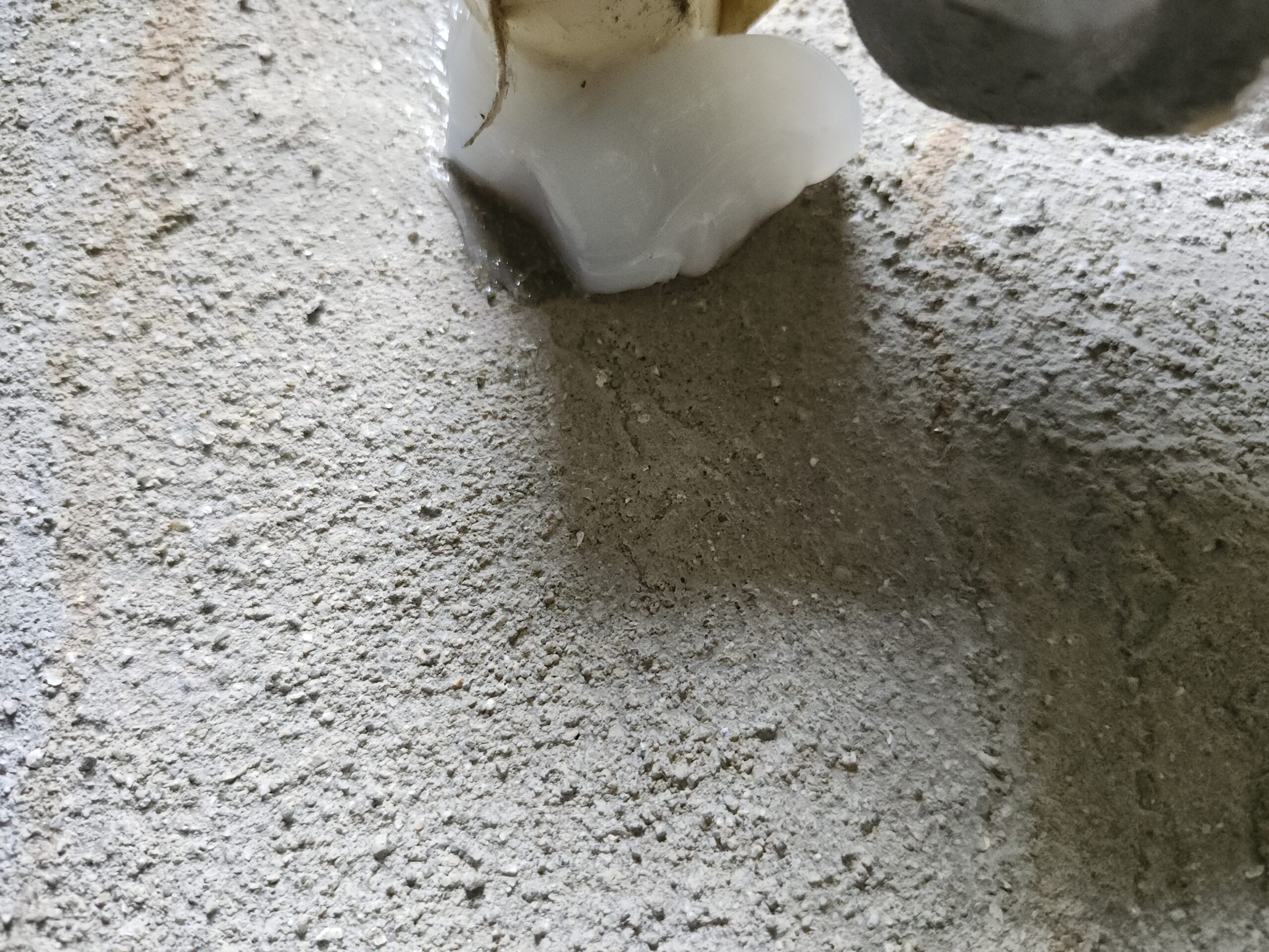 兵庫県神戸市害獣駆除現場の写真16