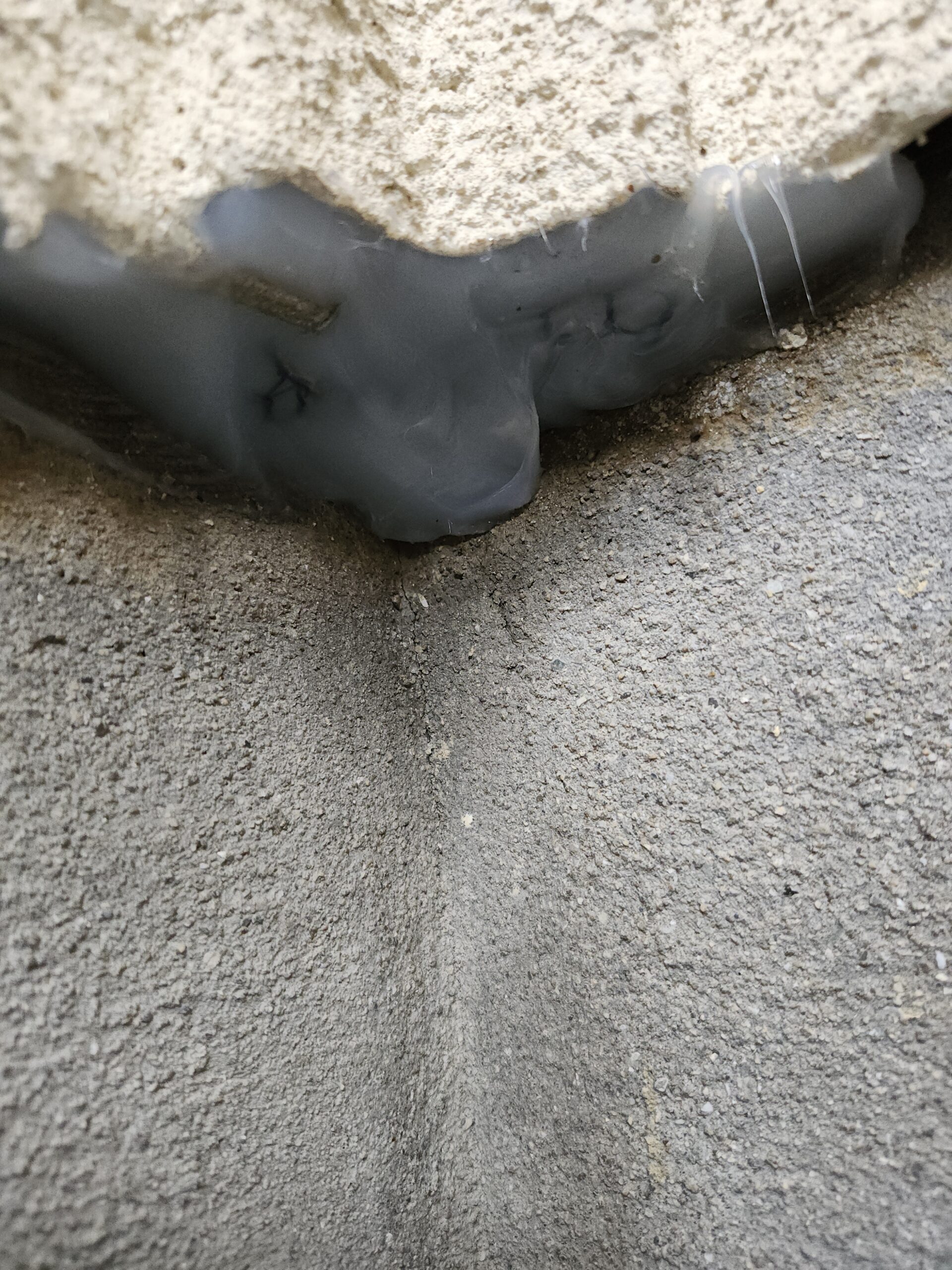 兵庫県神戸市害獣駆除現場の写真15