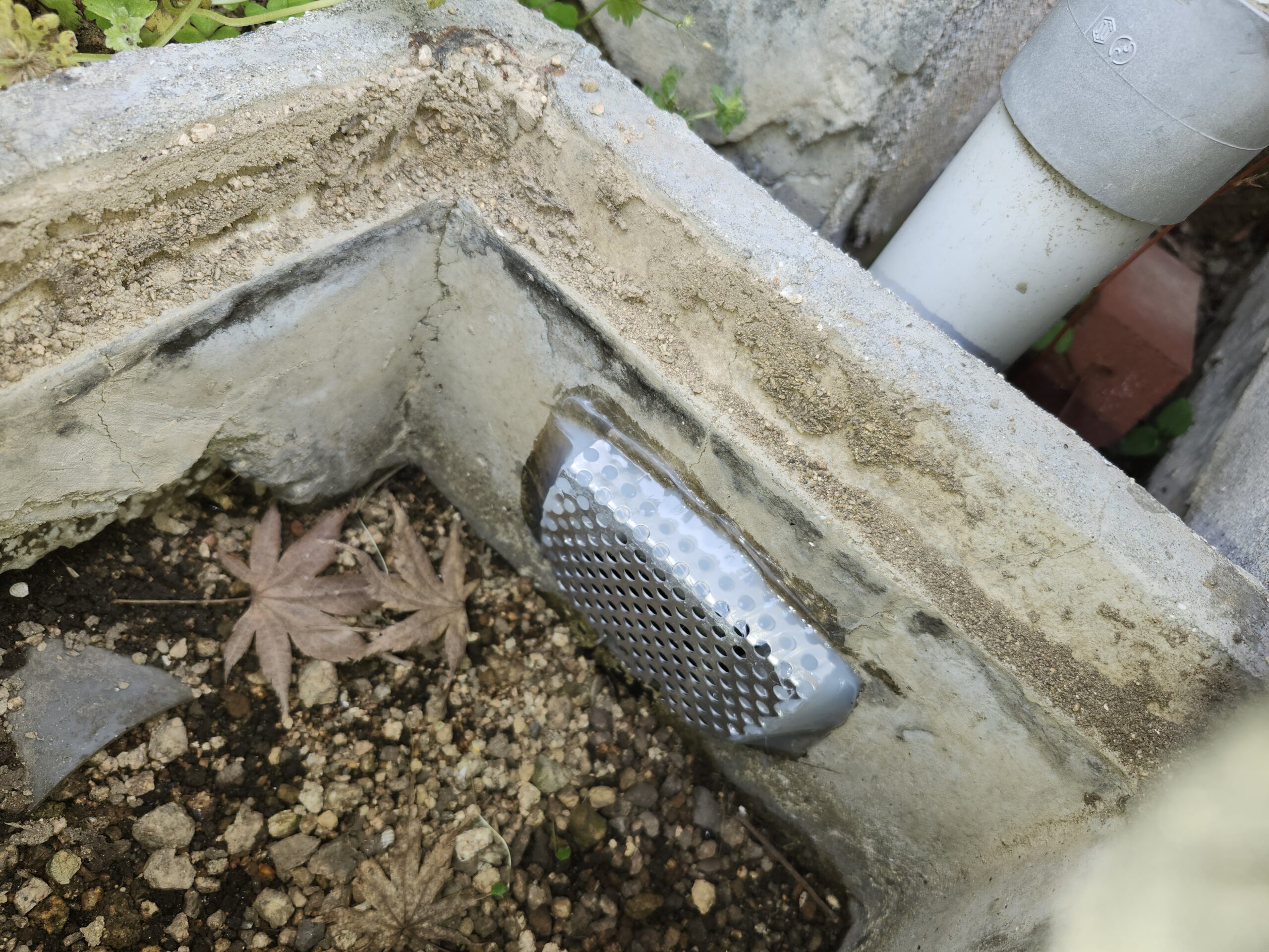 兵庫県神戸市害獣駆除現場の写真13