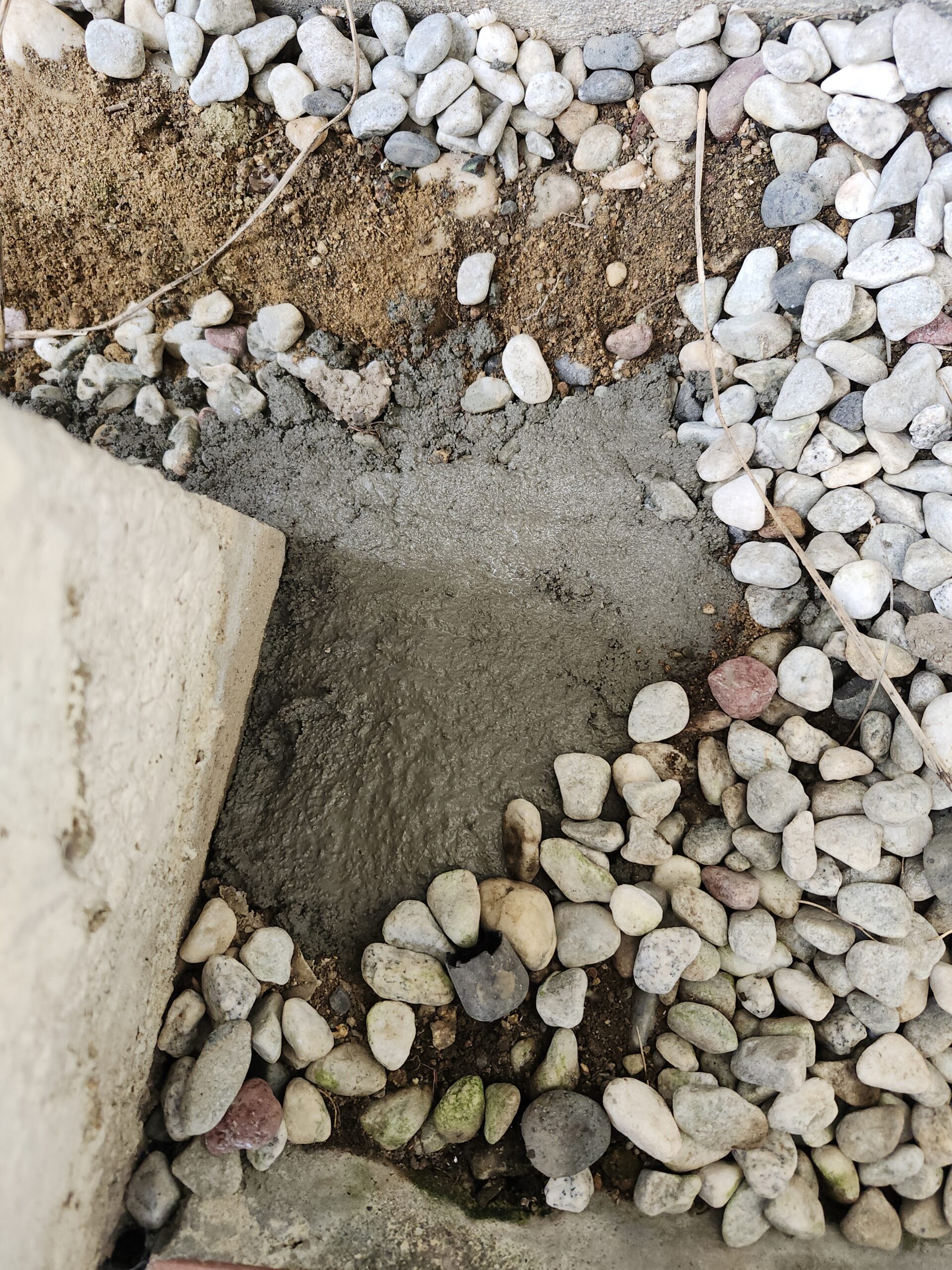 兵庫県神戸市害獣駆除現場の写真12