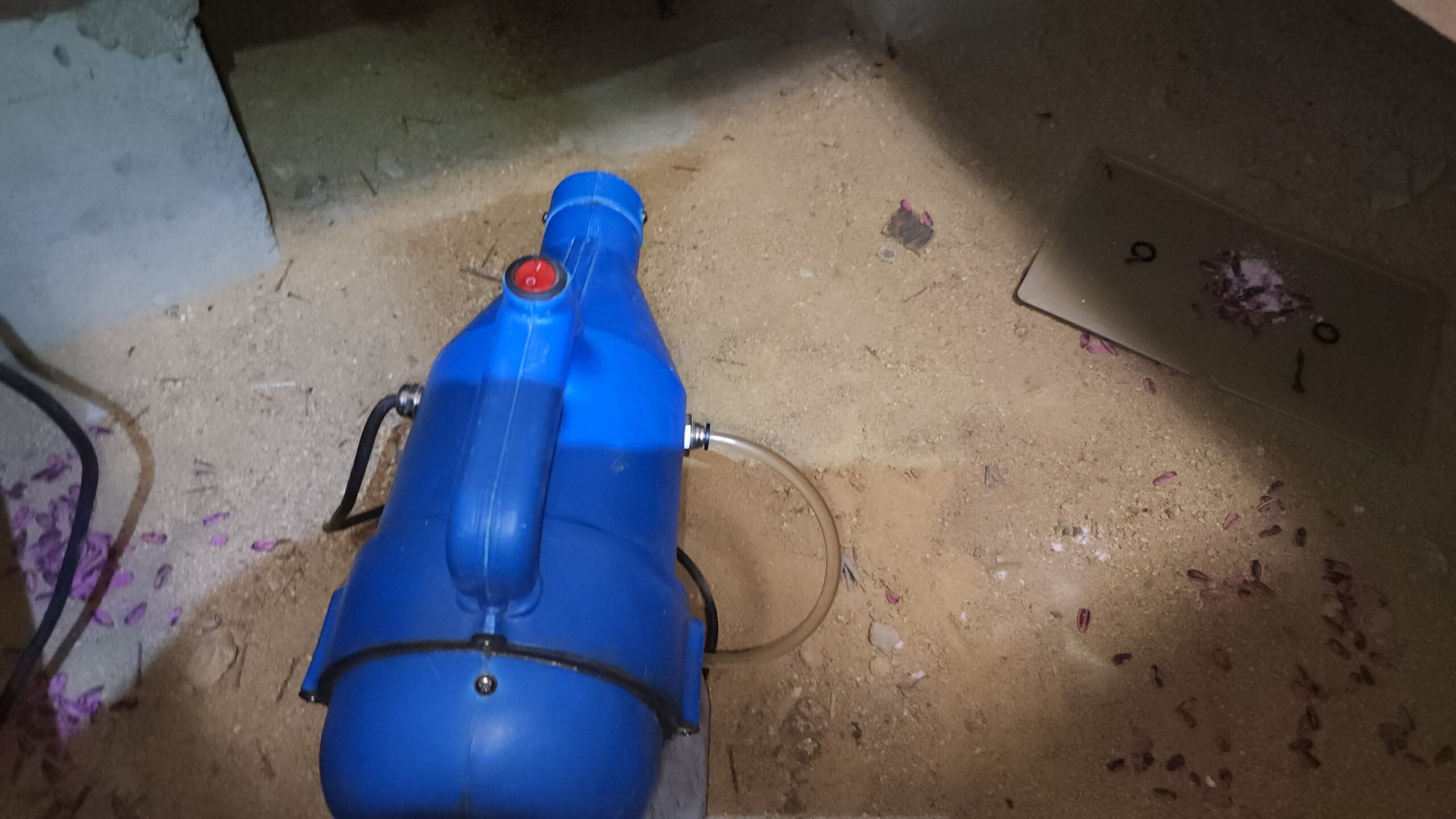 兵庫県神戸市害獣駆除現場の写真4