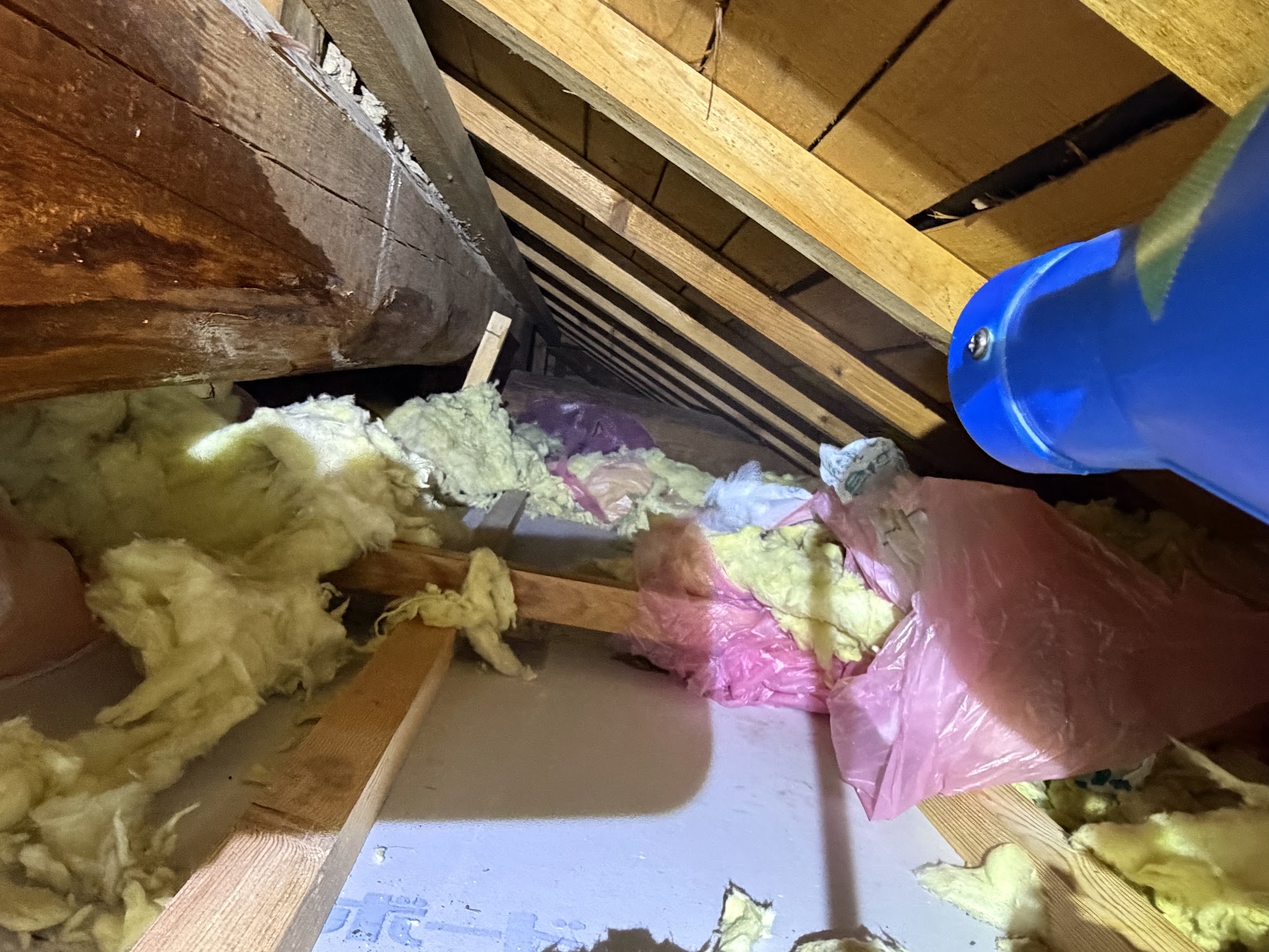 兵庫県丹波市害獣駆除現場の写真25