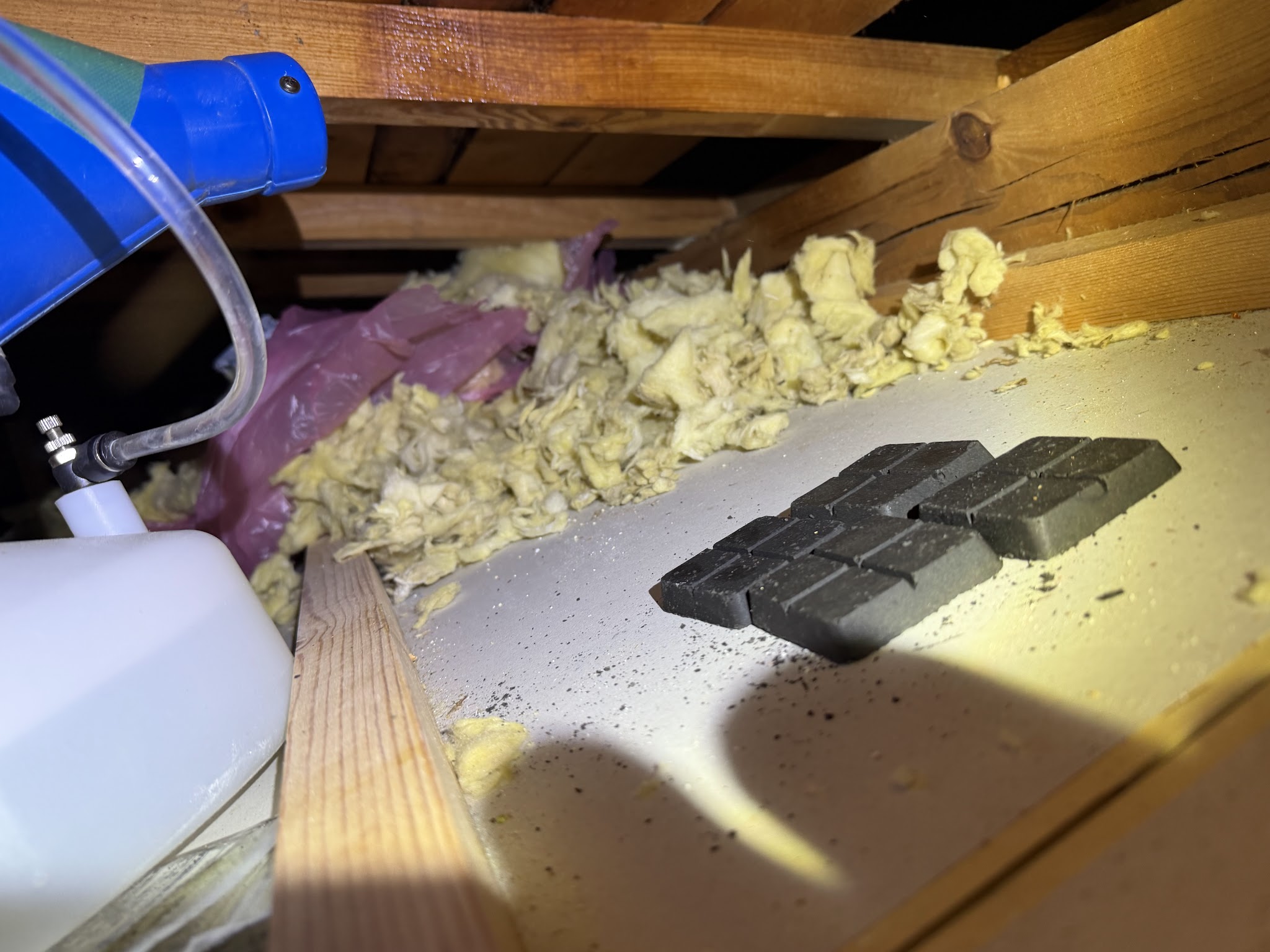 兵庫県丹波市害獣駆除現場の写真36