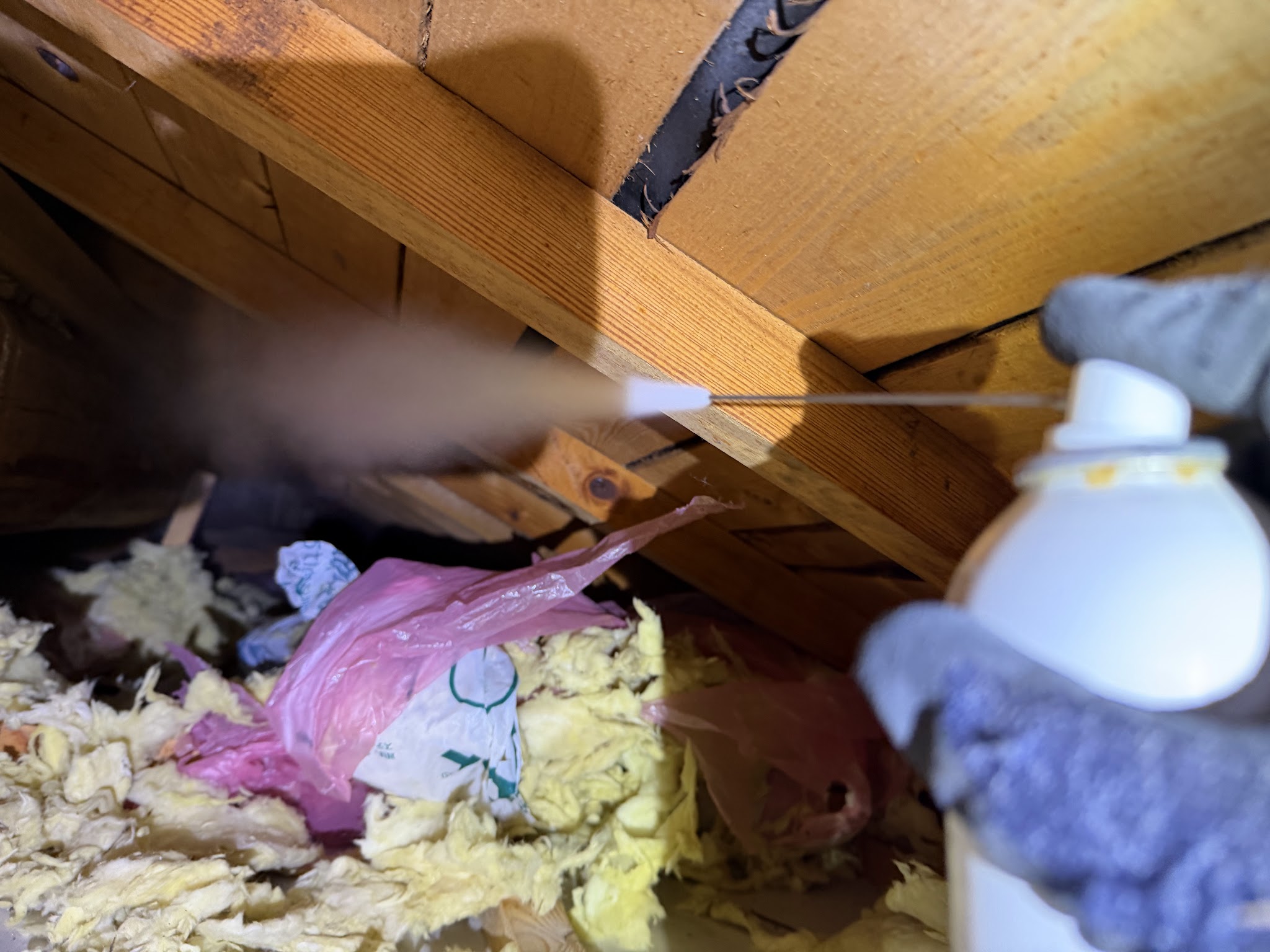 兵庫県丹波市害獣駆除現場の写真33
