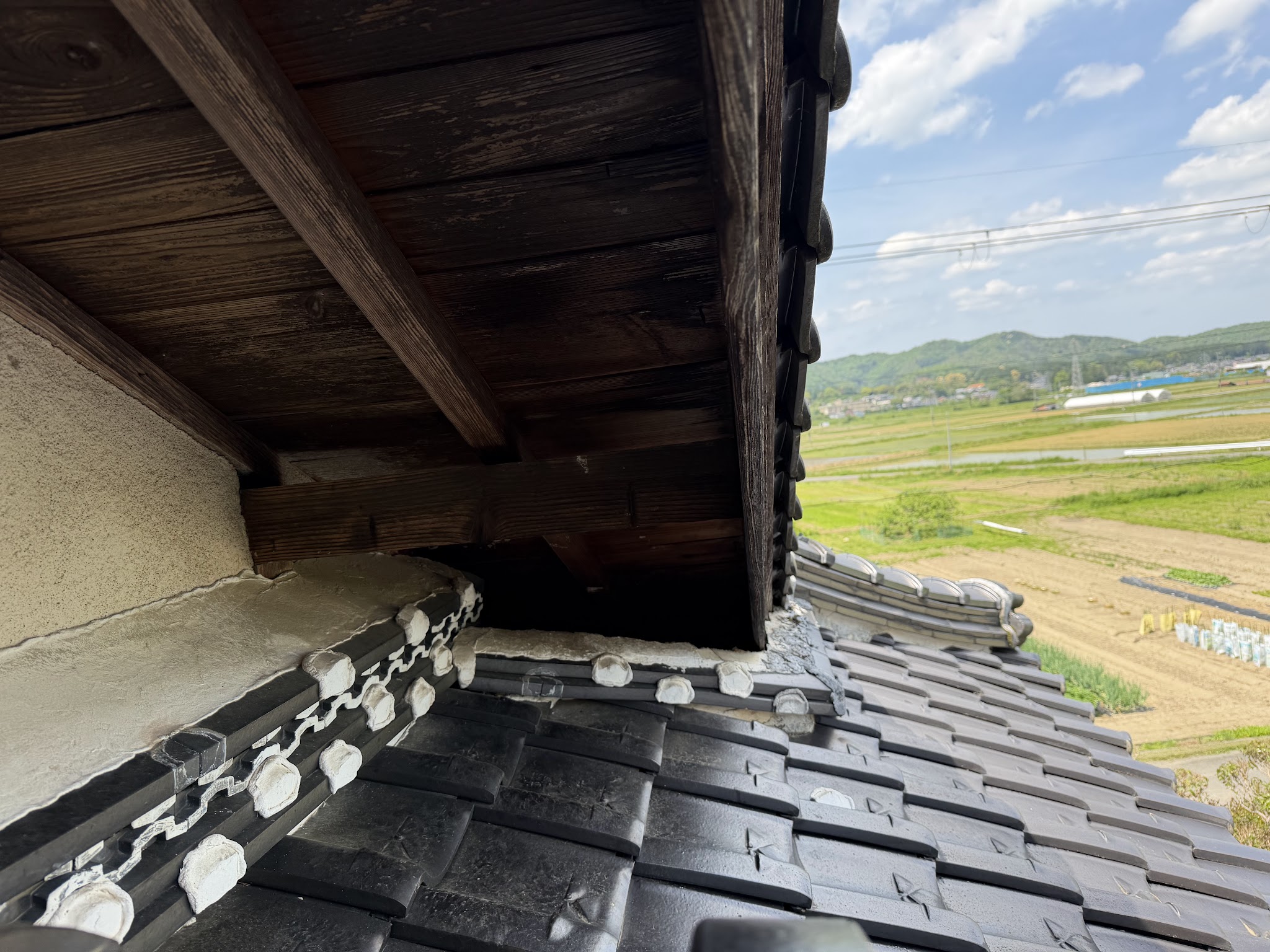兵庫県丹波市害獣駆除現場の写真27
