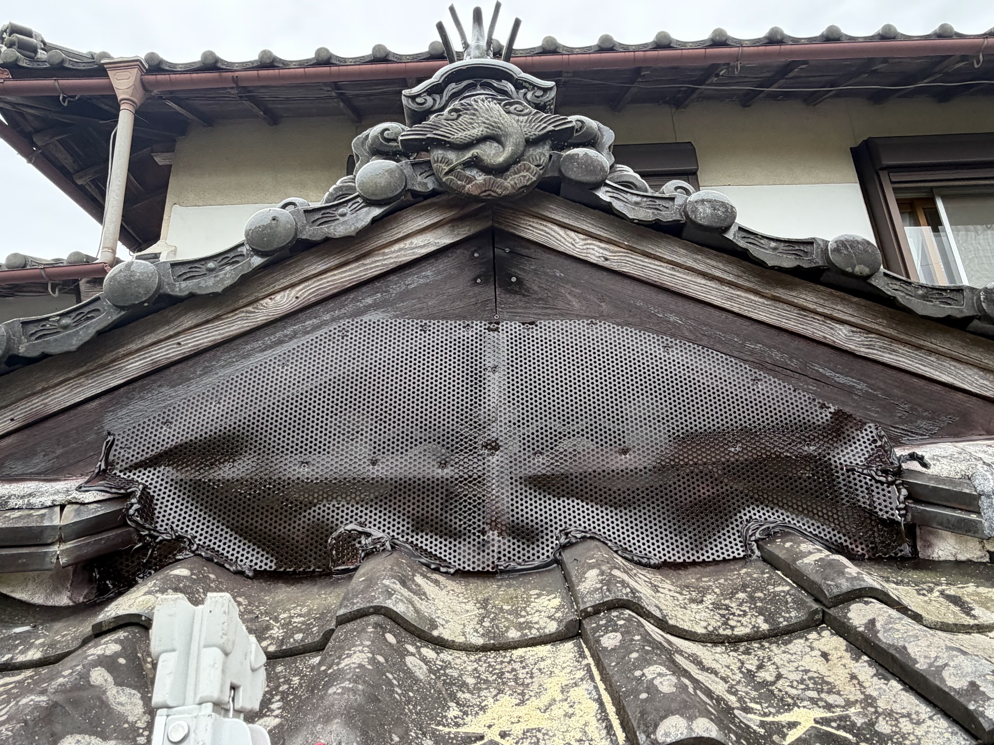 兵庫県丹波市害獣駆除現場の写真2