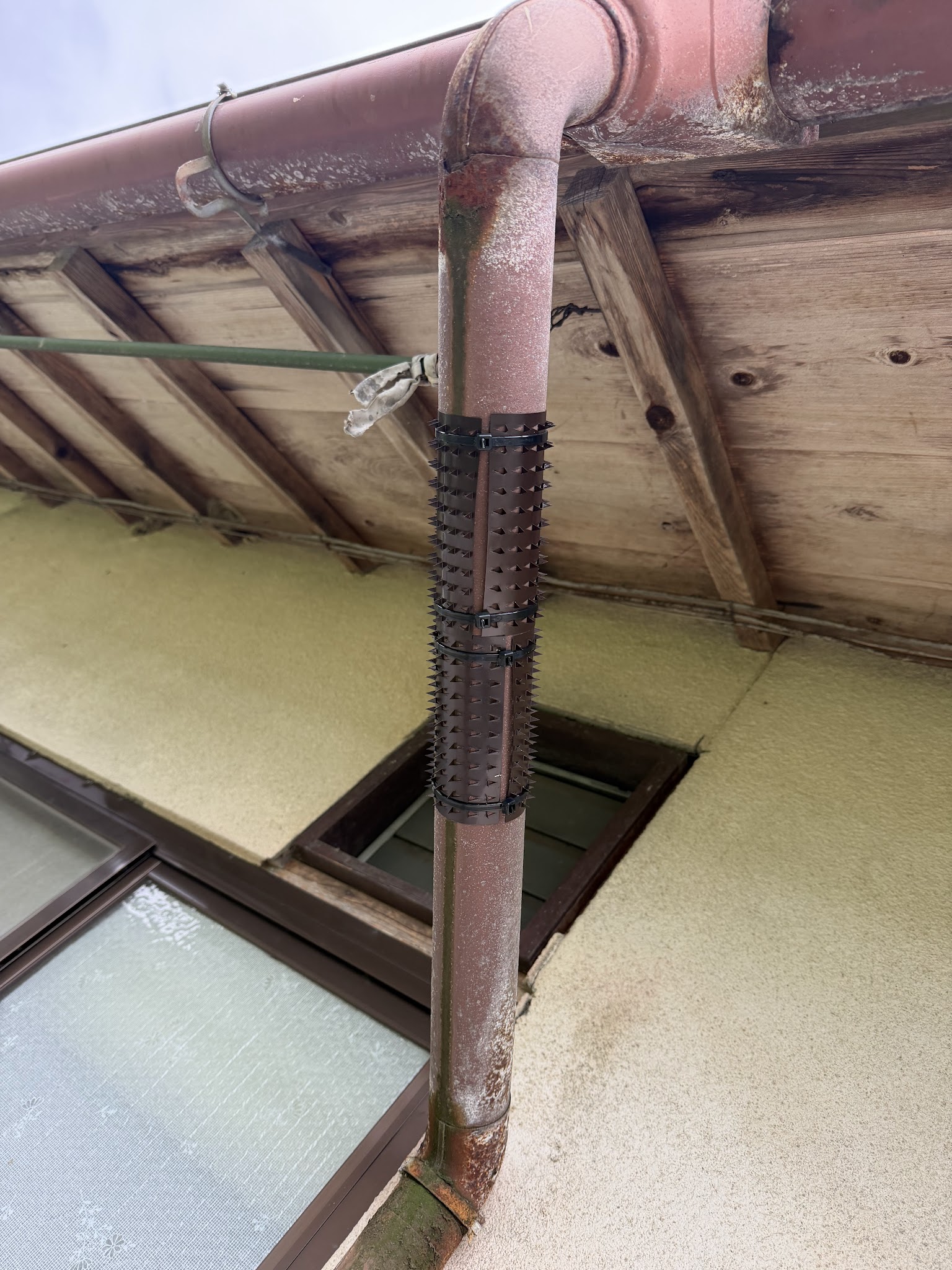 兵庫県丹波市害獣駆除現場の写真9