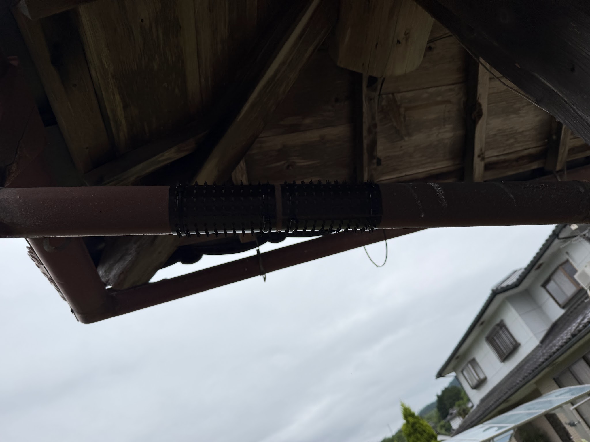 兵庫県丹波市害獣駆除現場の写真13