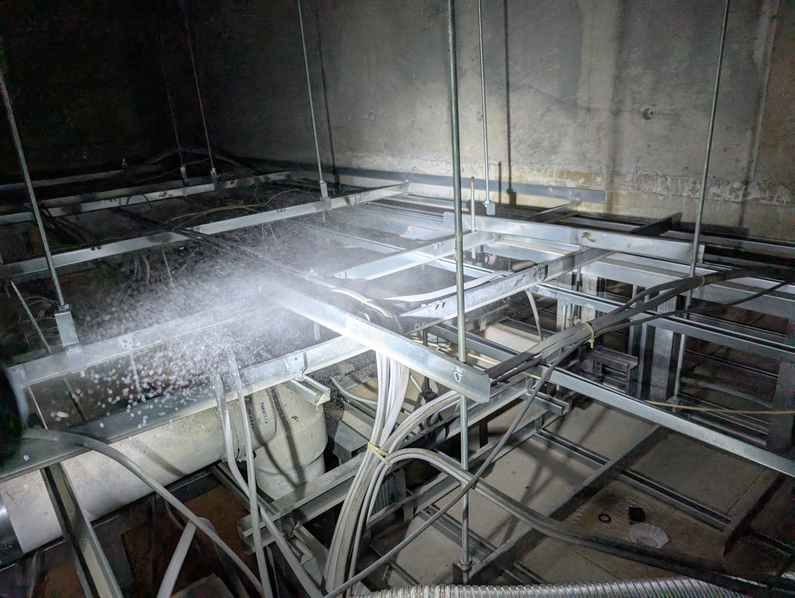 東京都多摩市害獣駆除現場の写真4