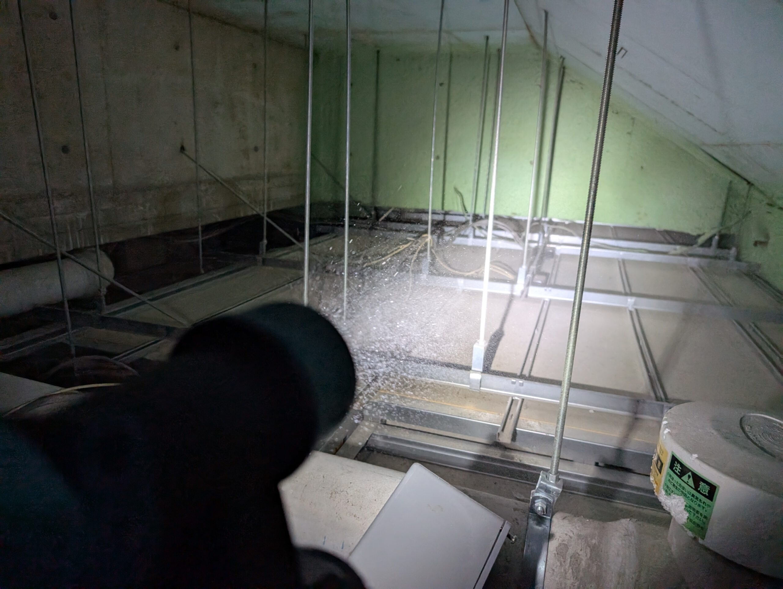 東京都多摩市害獣駆除現場の写真1