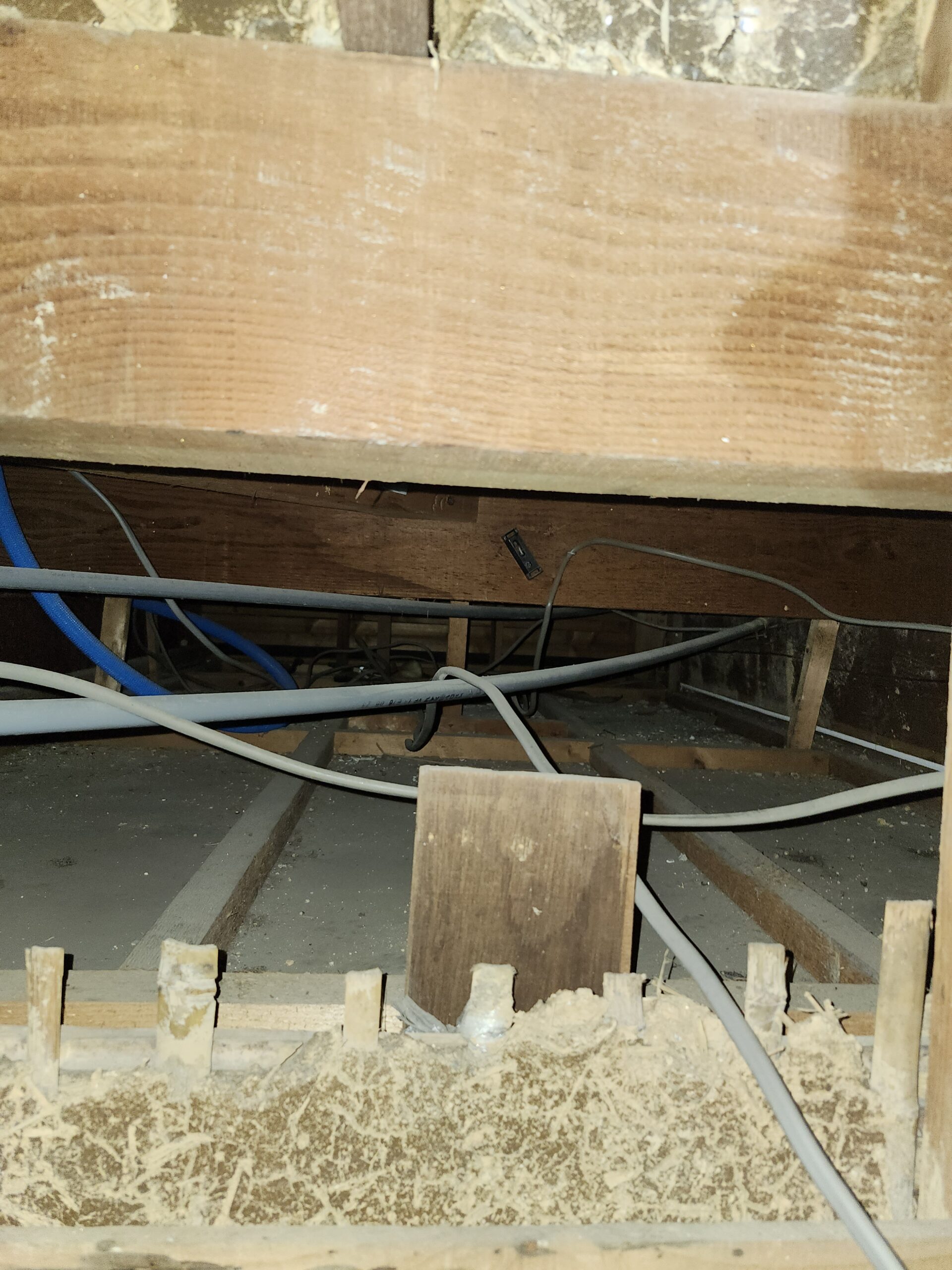 広島県呉市イタチ駆除現場の写真26