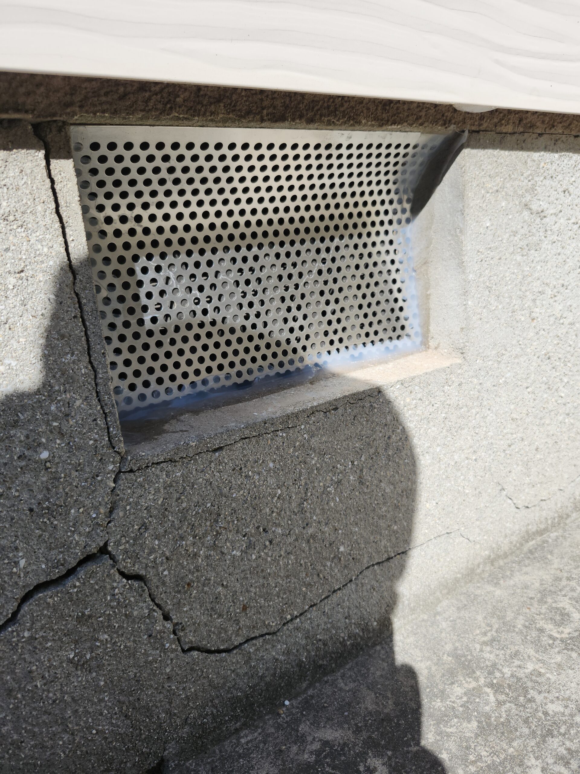 広島県呉市イタチ駆除現場の写真12