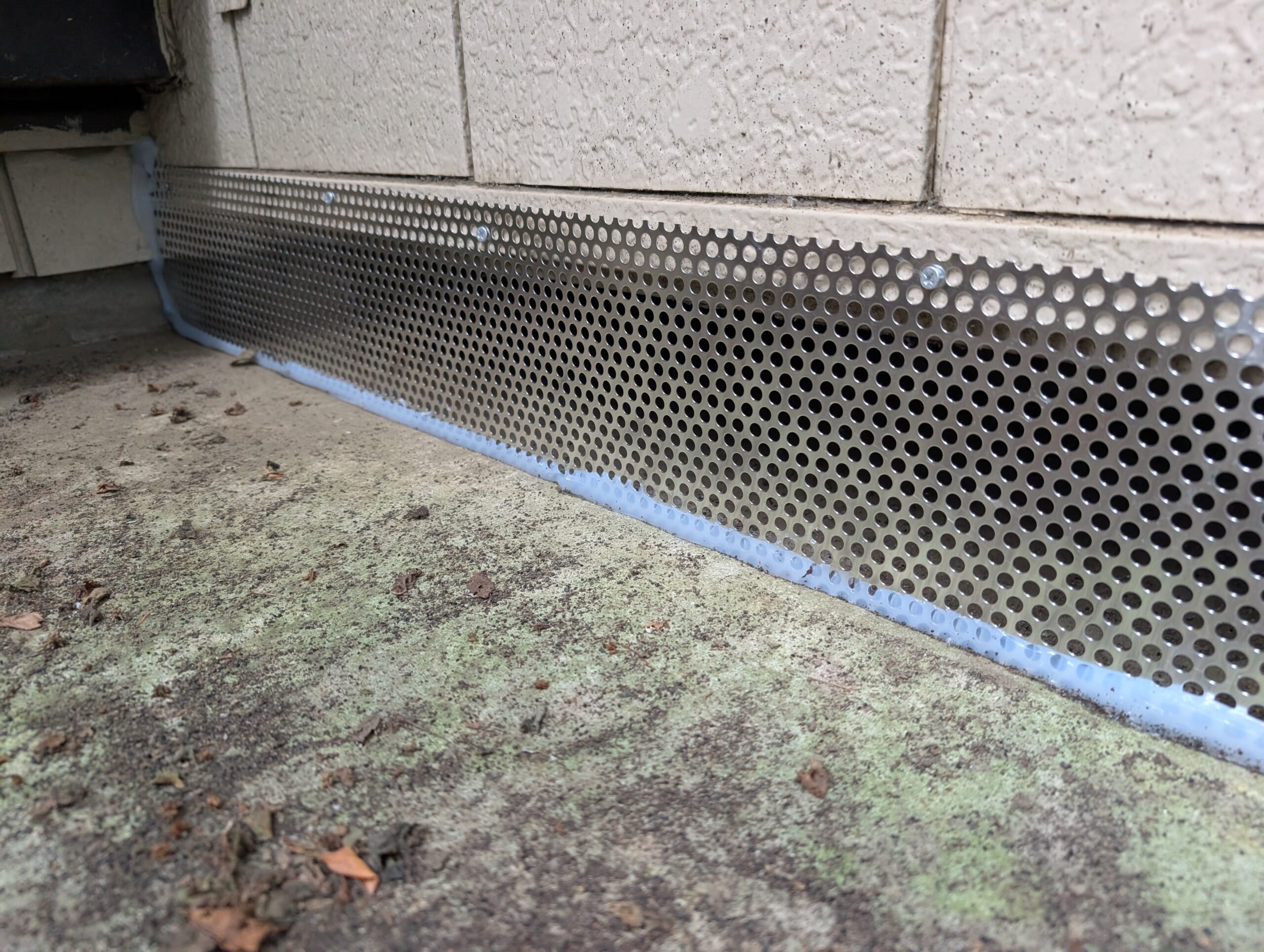 神奈川県座間市害獣駆除現場の写真37