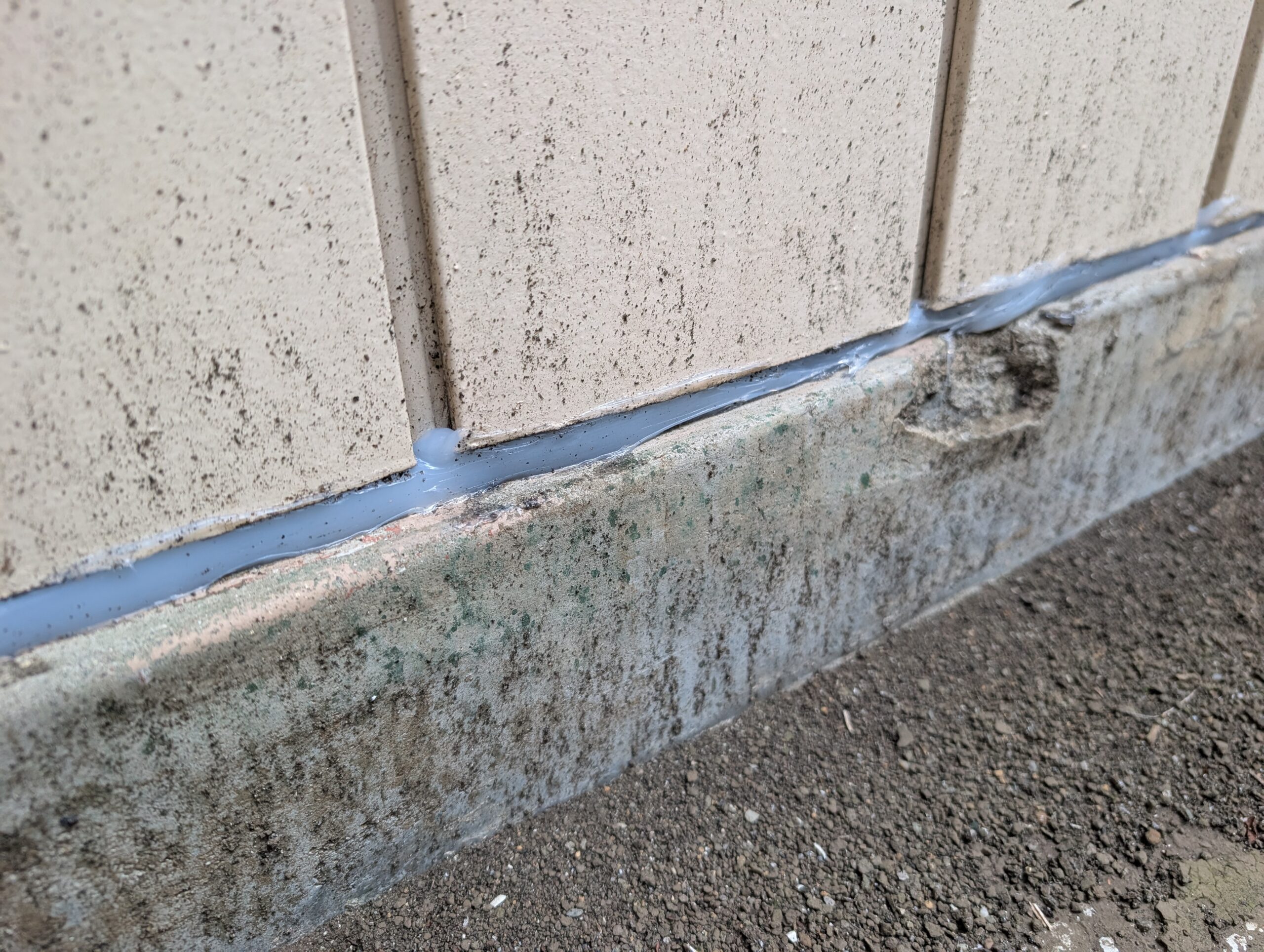 神奈川県座間市害獣駆除現場の写真44