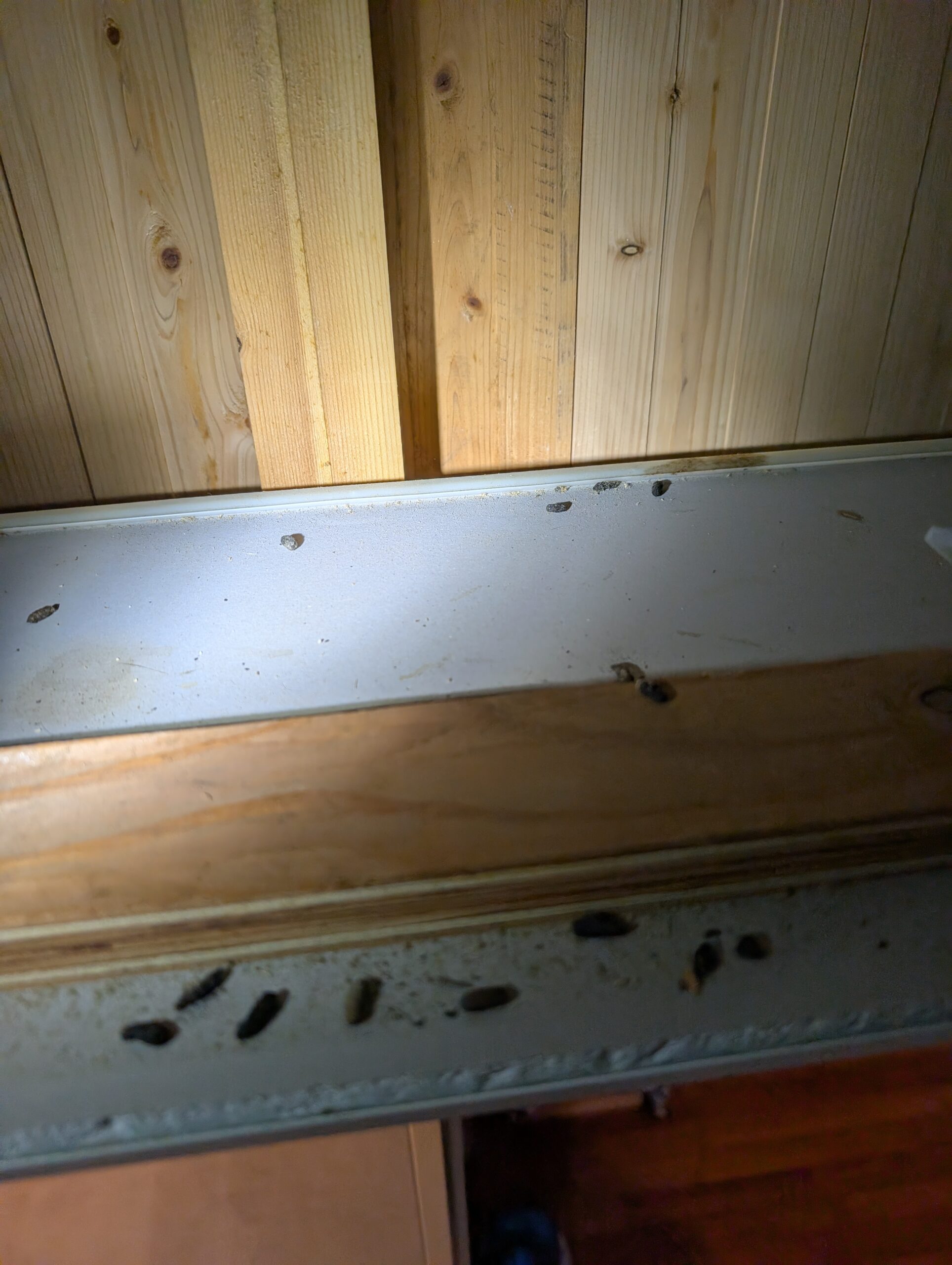 神奈川県座間市害獣駆除現場の写真6