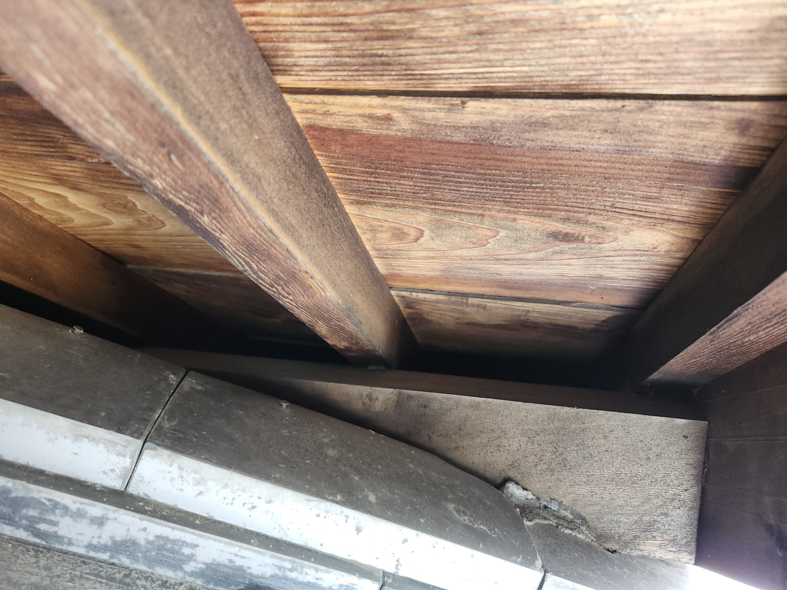 岡山県倉敷市害獣駆除現場の写真36