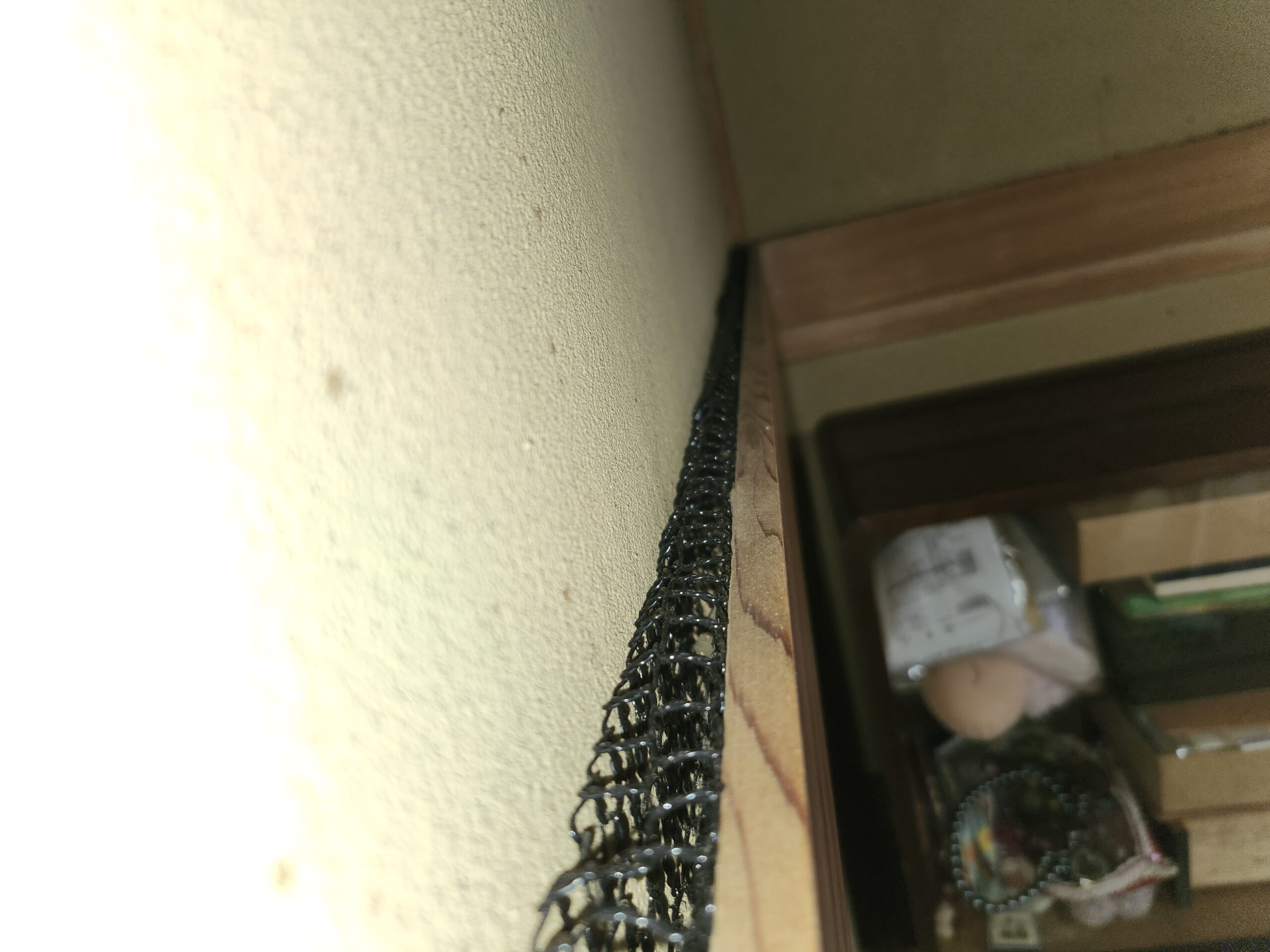 岡山県倉敷市害獣駆除現場の写真31