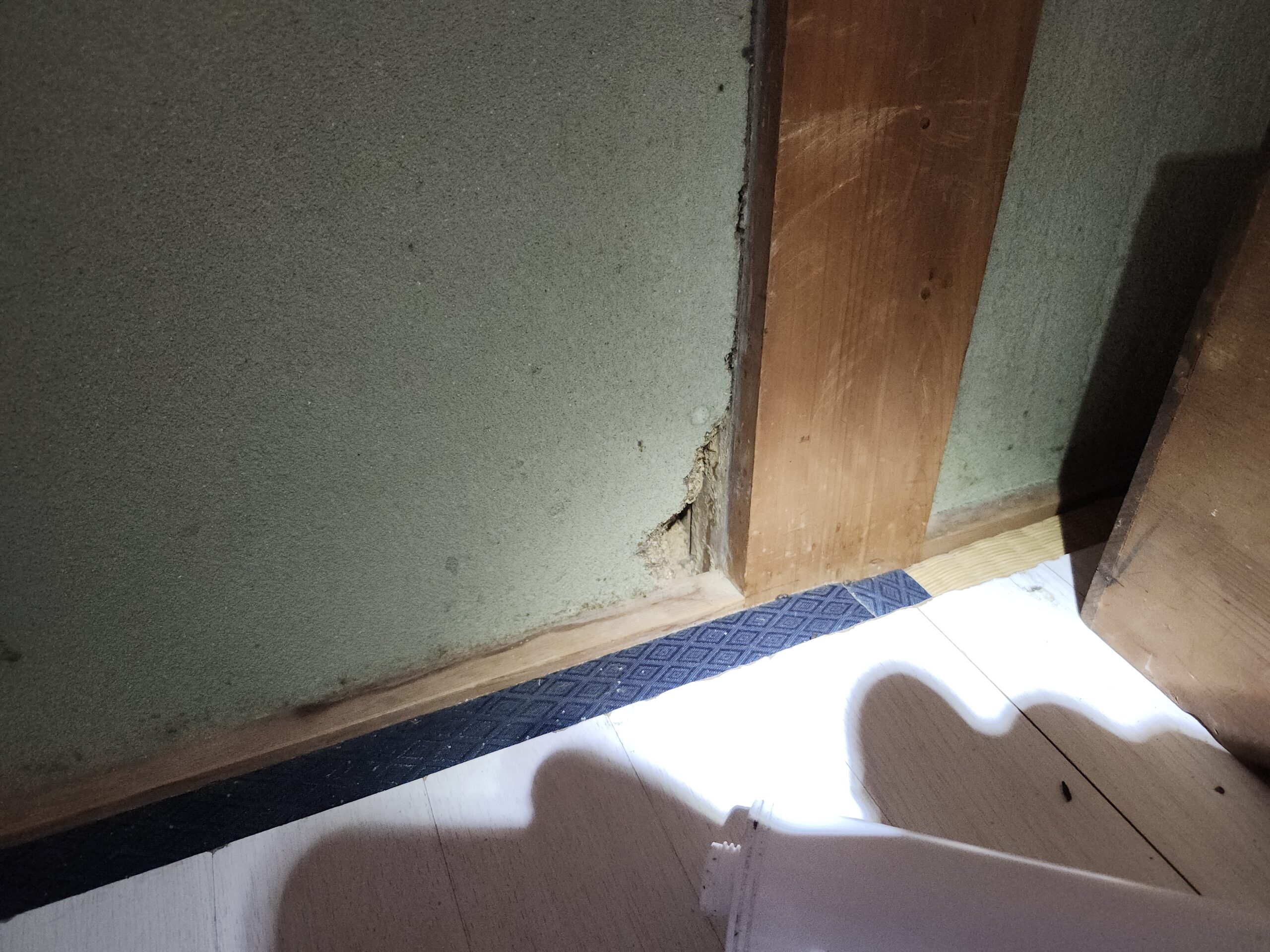 岡山県倉敷市害獣駆除現場の写真25