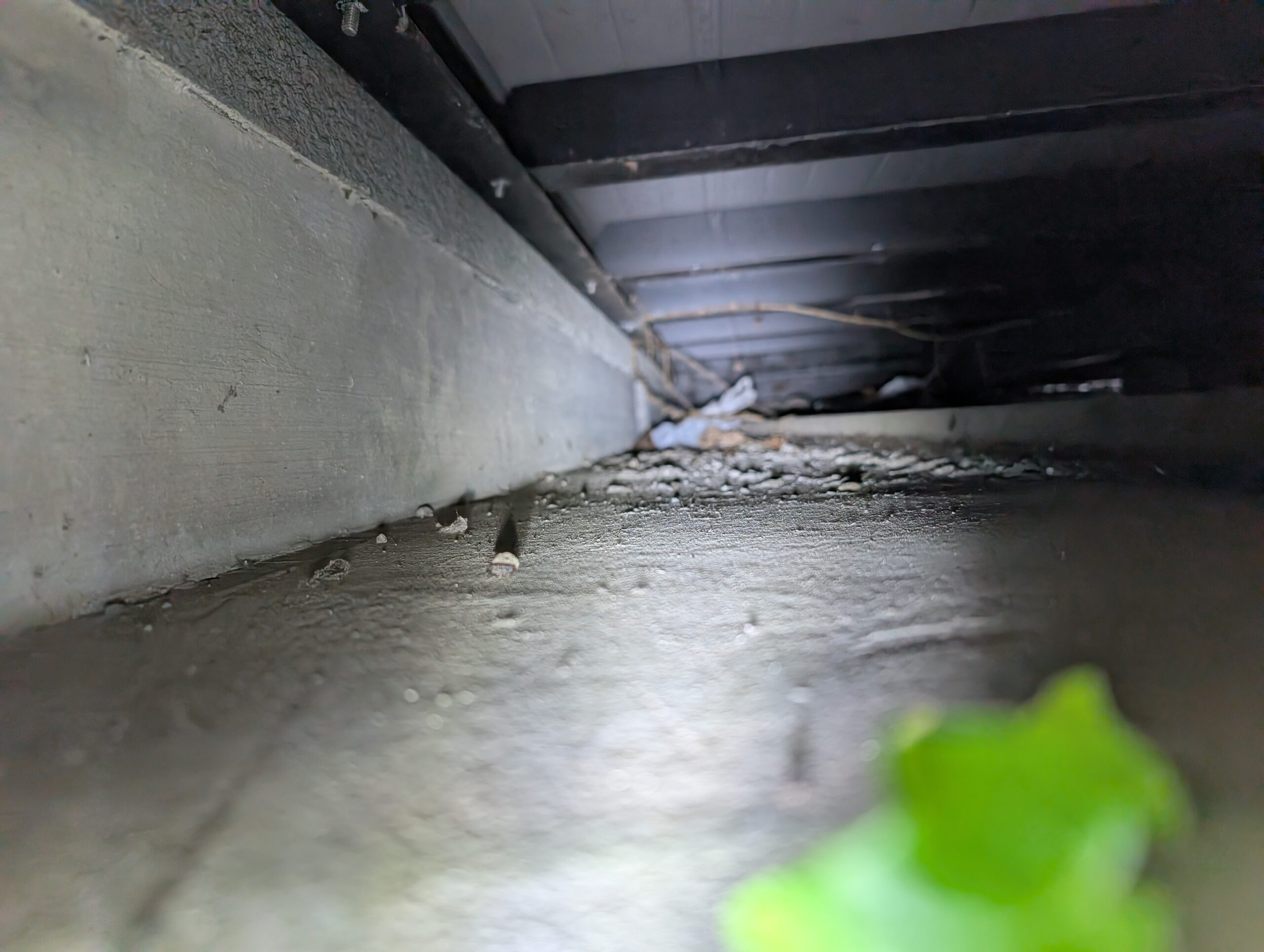 神奈川県横浜市害獣駆除現場の写真23
