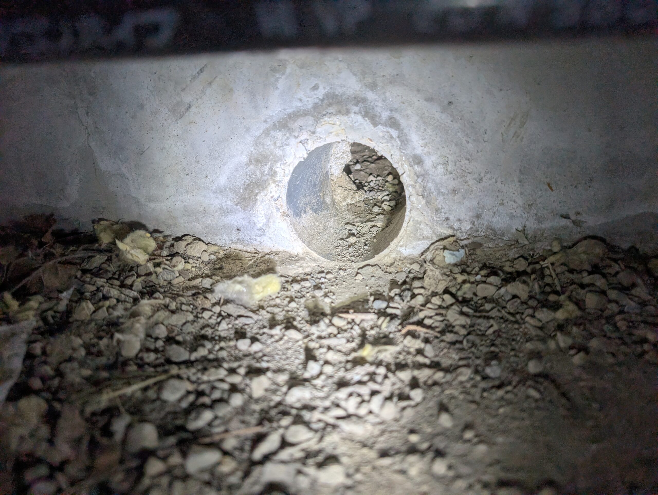 神奈川県横浜市害獣駆除現場の写真9