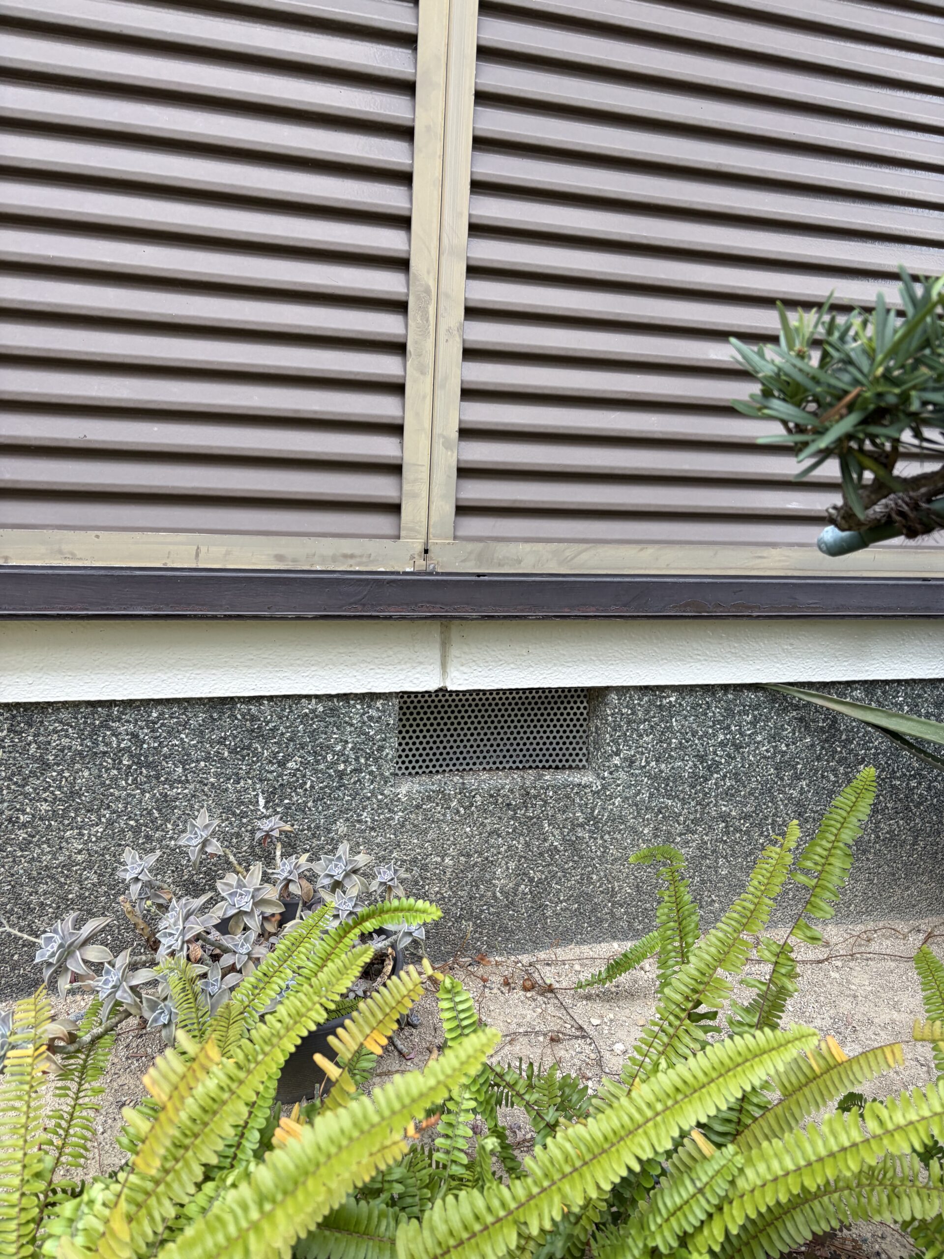 徳島県徳島市害獣駆除現場の写真5