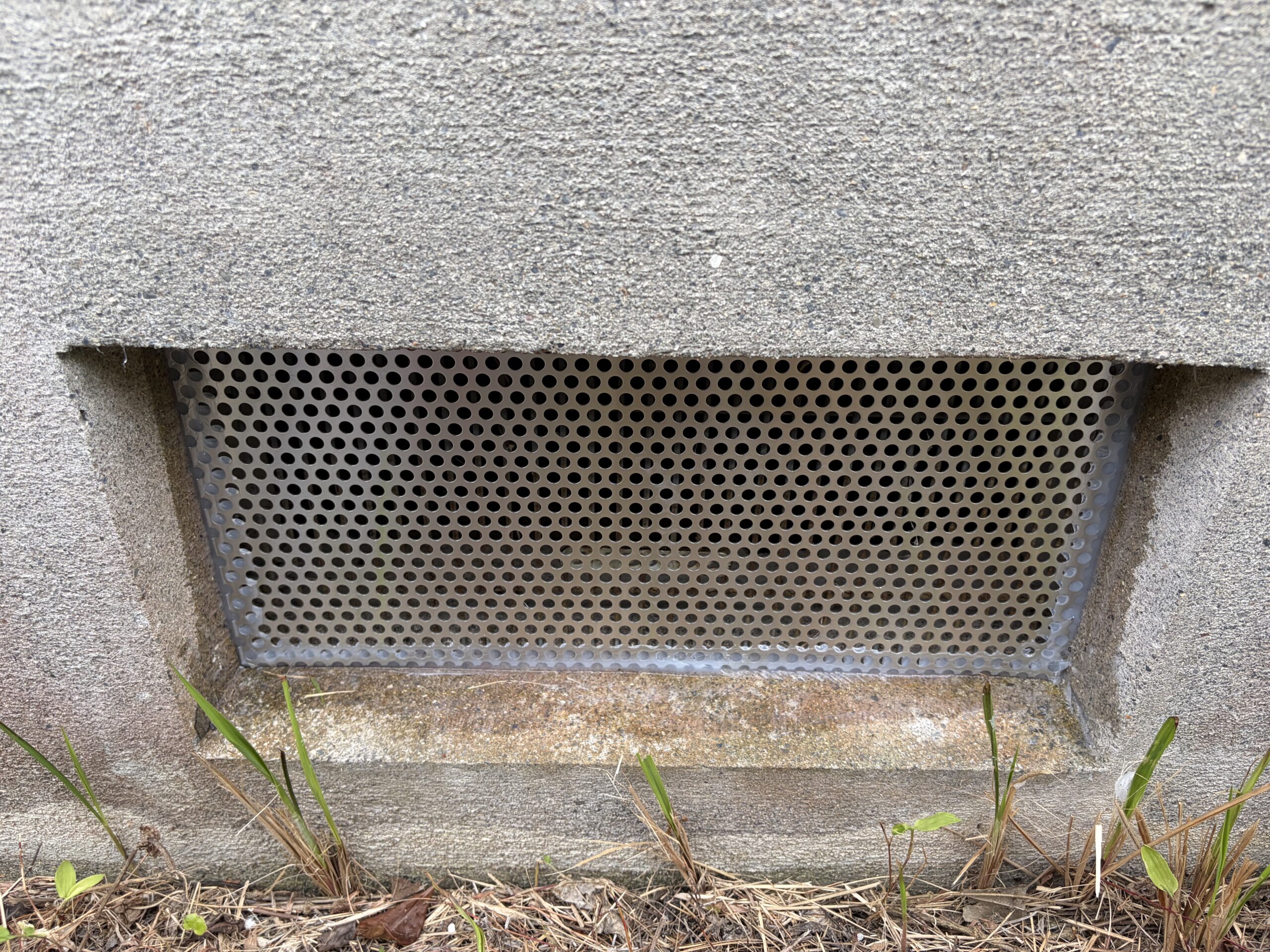 滋賀県大津市害獣駆除現場の写真22