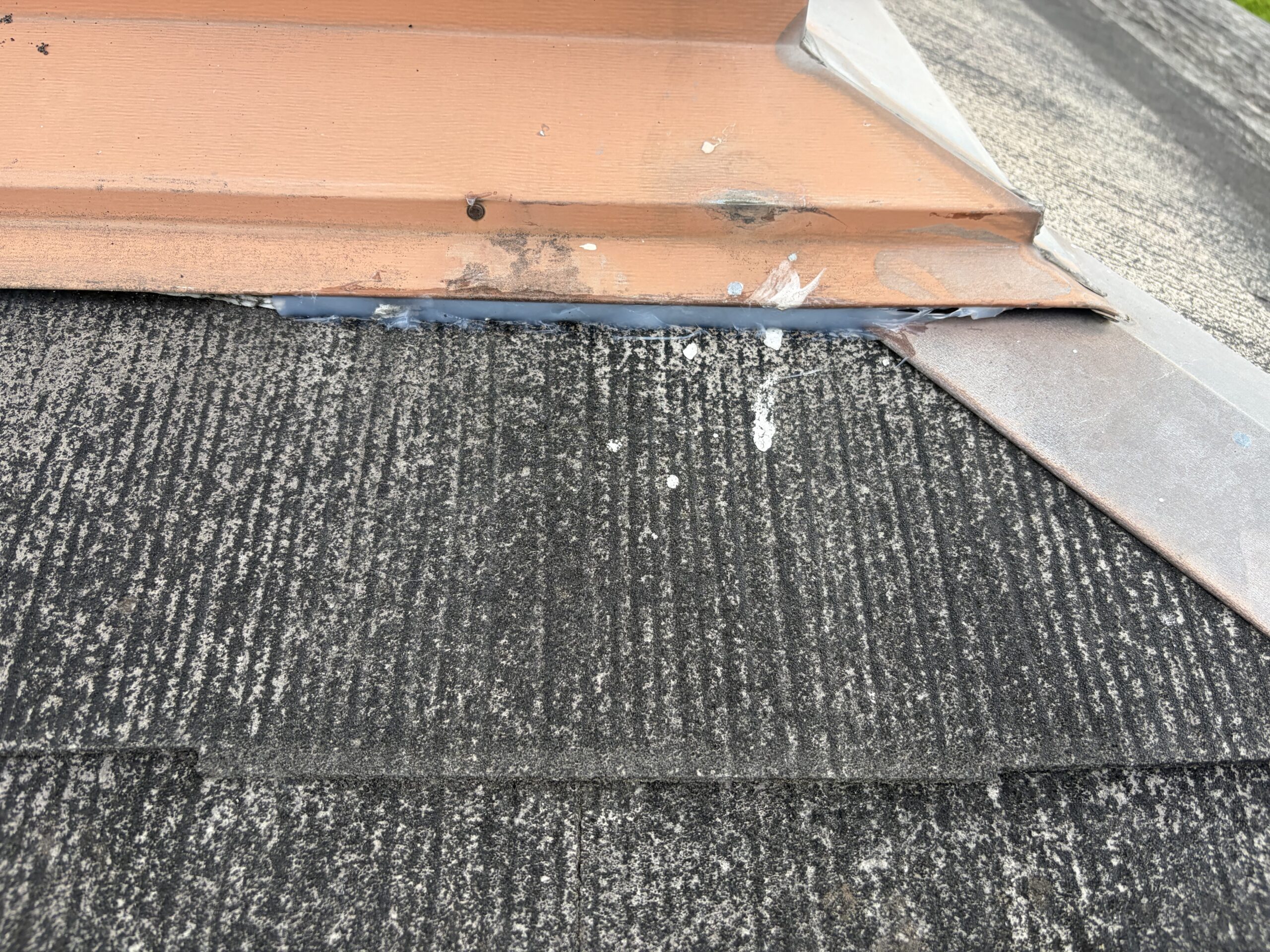 滋賀県大津市害獣駆除現場の写真32